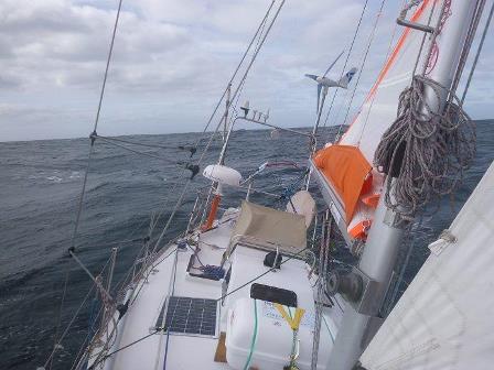 jacht zaglowy perla 702743