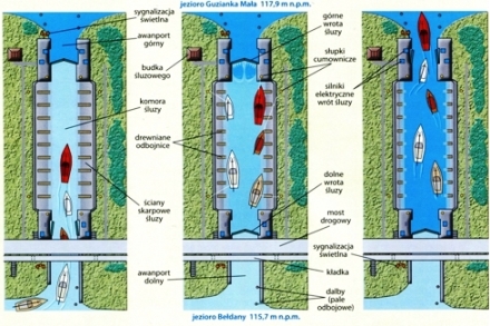 SLUZA GUZIANKA MALA1